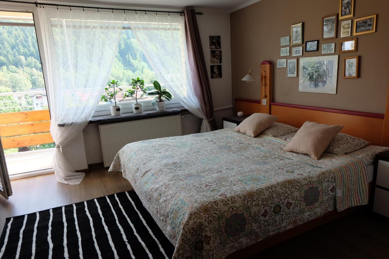 Willa Pod Aniolem - Pokoje Goscinne & Apartamenty Z Widokiem Na Gory ชเจอร์ค ภายนอก รูปภาพ
